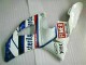 Blu Bianco ABS Kits Carene Moto Yamaha R1 00-01 Blu Bianco ABS Kits Carene Moto Yamaha R1 00-01