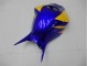 Giallo Blu Carene Moto Honda CBR 1000 RR 06-07 Giallo Blu Carene Moto Honda CBR 1000 RR 06-07