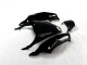 Nero Verde Kit Carenatura Moto Completa Kawasaki ZX14R ZZR 1400 12-21