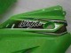 Verde Nero Carrozzeria Moto & Carena Moto Kawasaki EX250 08-12 Verde Nero Carrozzeria Moto & Carena Moto Kawasaki EX250 08-12